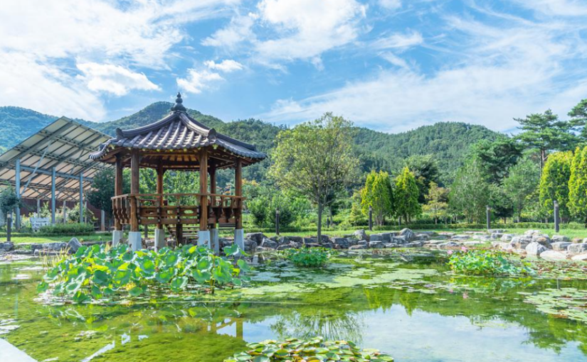 영동 여행 산과 호수의 절경을 모두 만난다