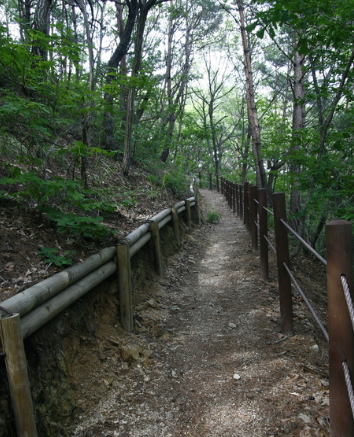 달을 품은 산 왕의 길 을 받들다 경주 함월산 왕의 길