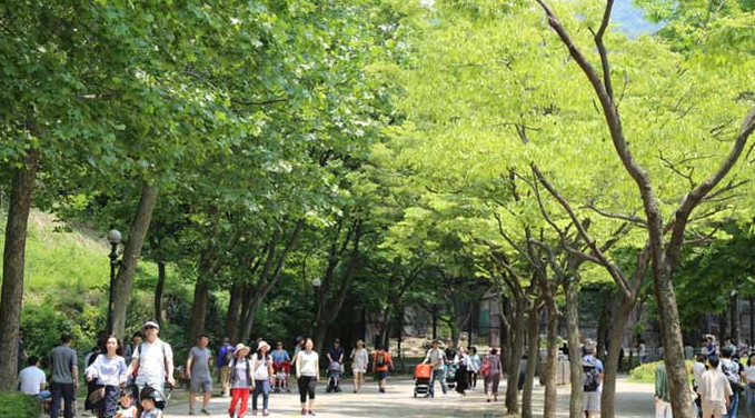 천혜의 대자연 속에 펼쳐진 종합테마공원