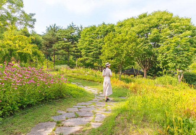 숲속 힐링을 즐기는 식물원 추천 경기 충남 여행