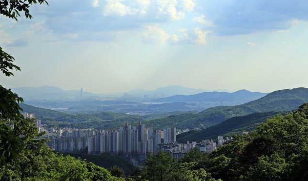 쪽동백 융단 밟고 족도리풀 눈 맞추는 꽃길 남양주 천마산