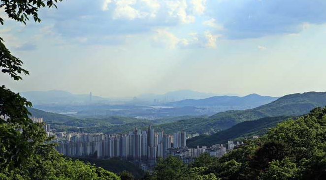 쪽동백 융단 밟고 족도리풀 눈 맞추는 꽃길