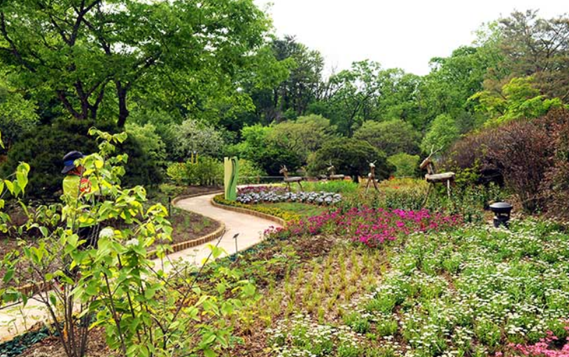 당신의 마음을 사로잡는 포천 국립수목원